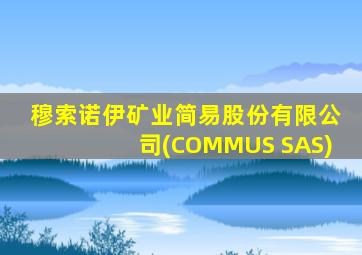 穆索诺伊矿业简易股份有限公司(COMMUS SAS)